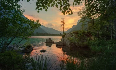 Damdama Lake Day Tour - Scenic lake view with lush greenery for a perfect day trip.