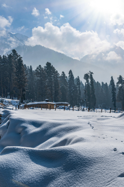 Jammu Kashmir