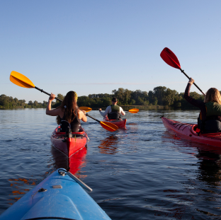 Kayaking Img