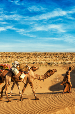 Rajasthan